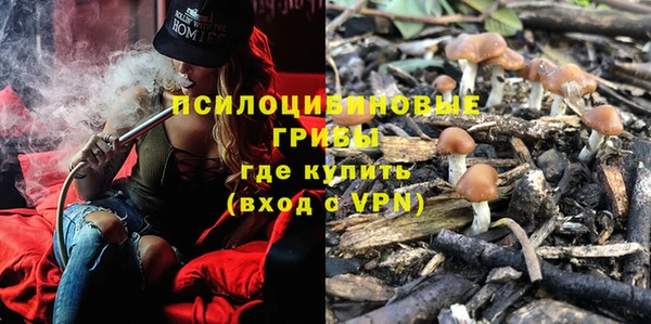 ешки Нефтегорск