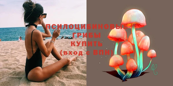 бошки Нея